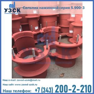 Сальники нажимные серия 5.900-3 в Обнинске